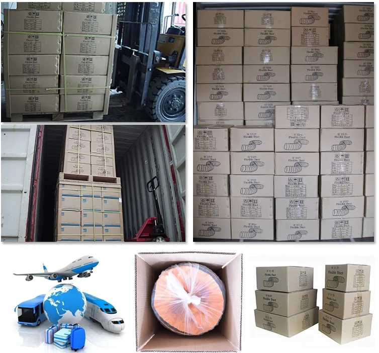 paste-pic-dp_uuid_ll041