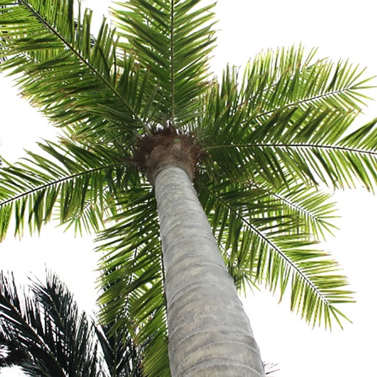 

Wholesale large indoor and outdoor decoration artificial plastic coconut tree