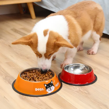

Medium Dog Food Anti-slip Bowl Dog Cat Drinking Fountain Rice Bowl Stainless Steel Double Pet Bowl