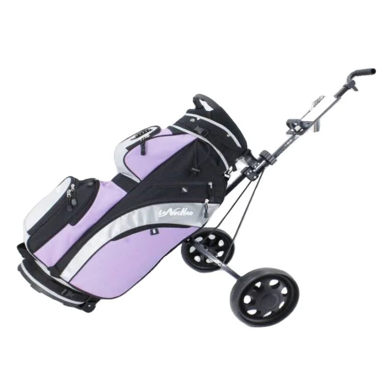 

Dongguan Factory 2 Wheels Foldable Push Pull Golf Bag Trolley, Black