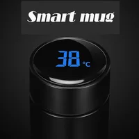 

Temperature Display Thermos,Temperature Control Smart Mug,bottle Temperature indicator 304 Stainless Steel Cup Vacuum Flask 71