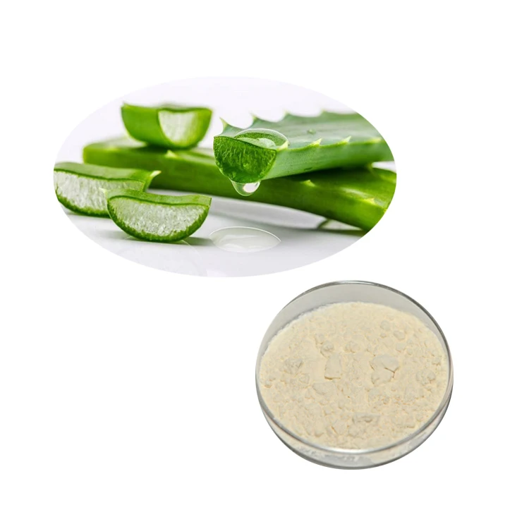 Aloe Vera Gel Powder 1.jpg