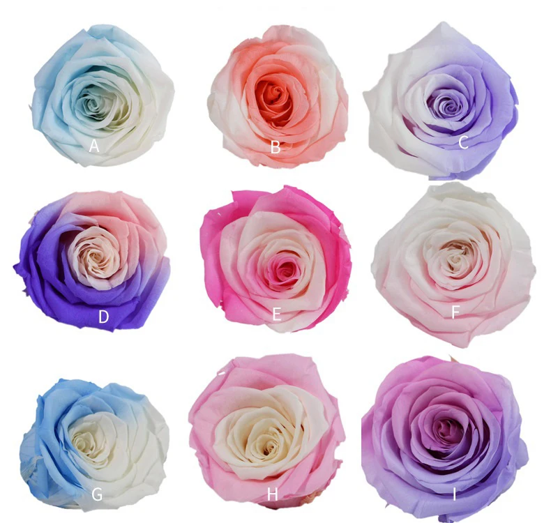 Fresh Natural Real Forever Freeze Dried Roses For Usa Market - Buy ...