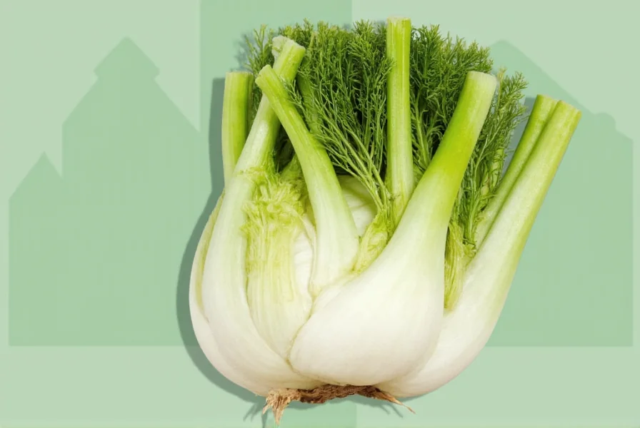 Fresh fennel bulbs with feathery green fronds on wooden cutting board