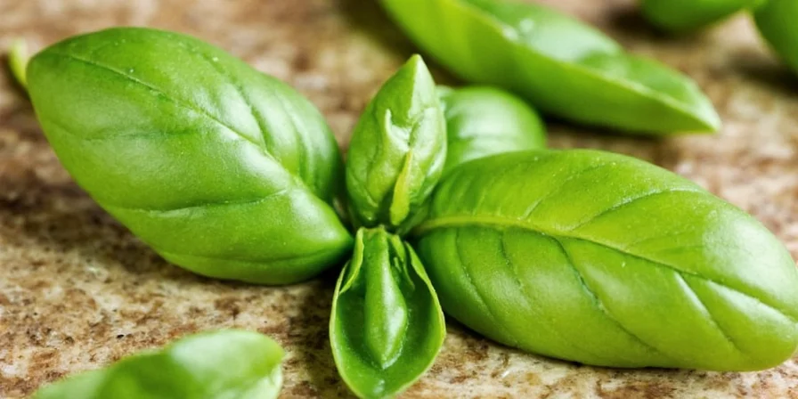 Basil plant in an old Spanish kitchen