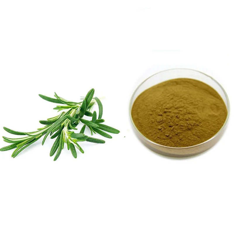 skin care rosemary extract rosemary herb extract rosemary powder