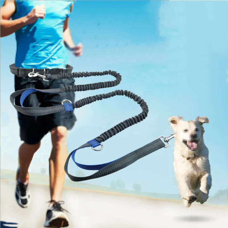 

Dog Leash Adjustable Running Jogging Sport Elastic Belt Traction Rope with Reflective Strip Pet Collars & Leashes