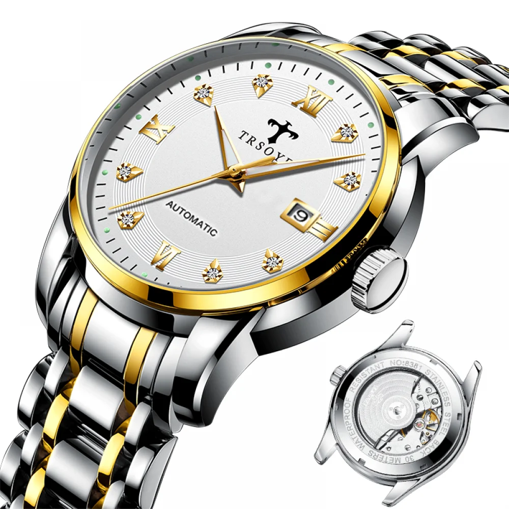 

TRSOYE TRSJ8381 Minimalist Luxury Montre Bracelet Watch Gold Mechanical Automatic Watches Men, As picture