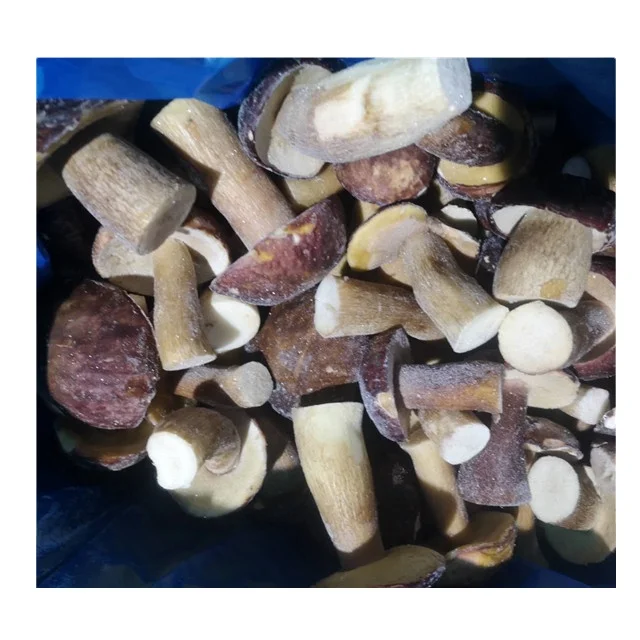 
Whole sale IQF porcini mushrooms fresh Boletus Edulis frozen fungus mushrooms natural wild Porcini mushrooms 