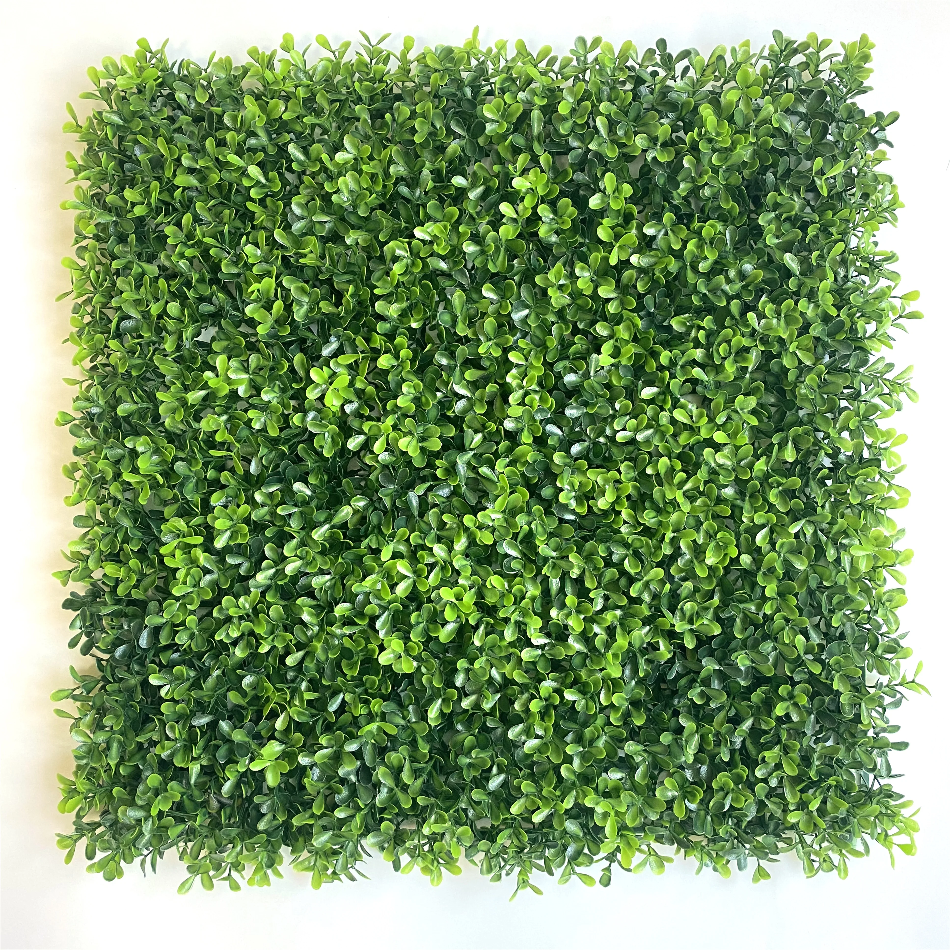 

Customized Artificial Faux Hedge Plant Boxwood Hedge for Indoor Outdoor, Fence Privacy Screen, Grass Wall, Greenery Backdrop, Green and customized color