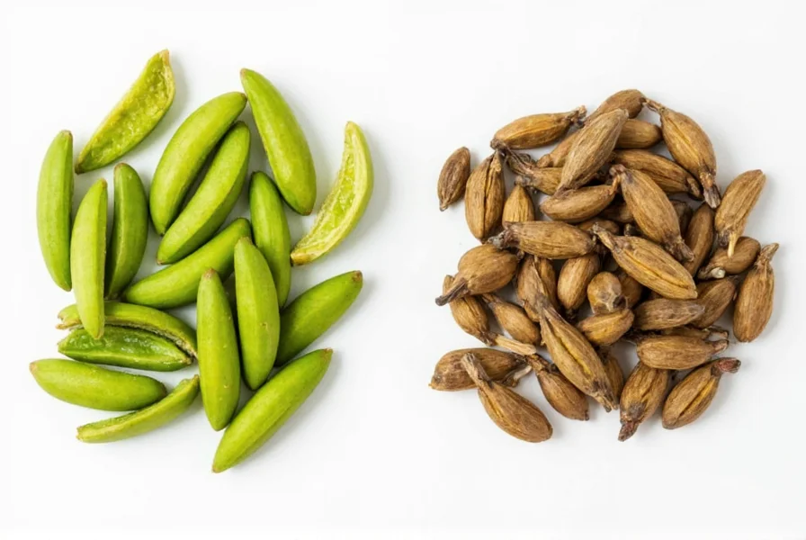 Comparison of fresh green cardamom pods versus stale, discolored pods