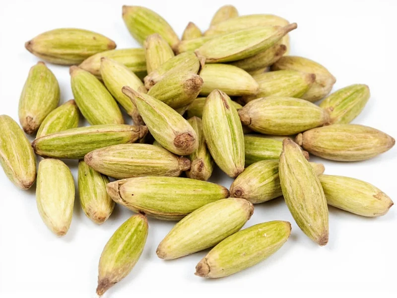 Cardamom Pods to Ground: Exact Conversion Guide