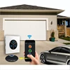 Home Automation Automatic Gate Opener WiFi Switch Alexa Google Home Voice Control