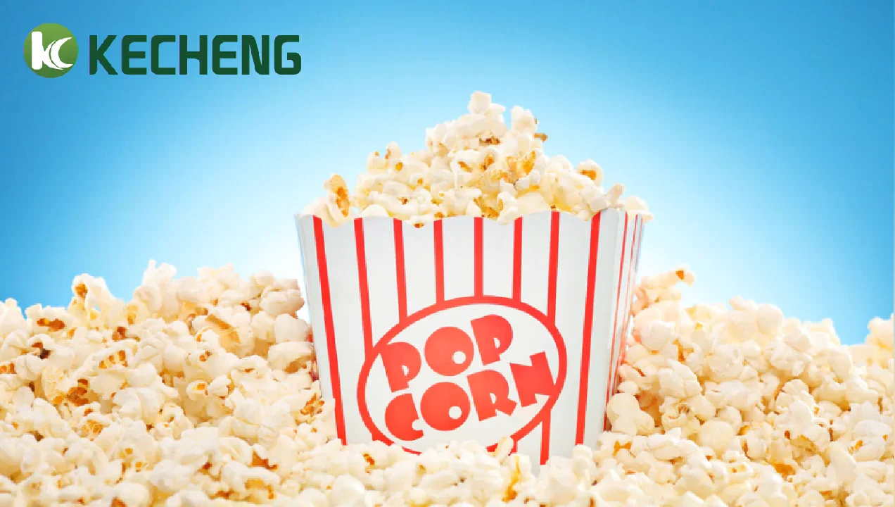 accept design and logo maker popcorn best price commercial
