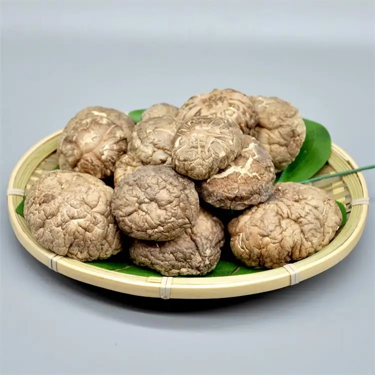 
Wholesale Price of Dried shiitake Mushroom Whole dried organic 