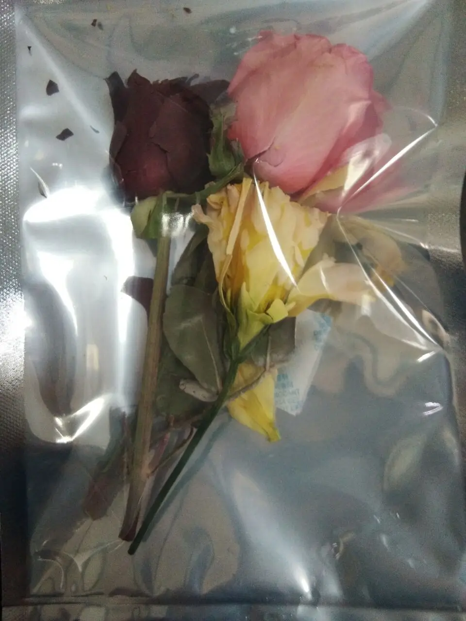 NADE TF-HFD-1 Mini-type Food Vacuum Lyophilizer/freeze drying equipment/freeze dryer