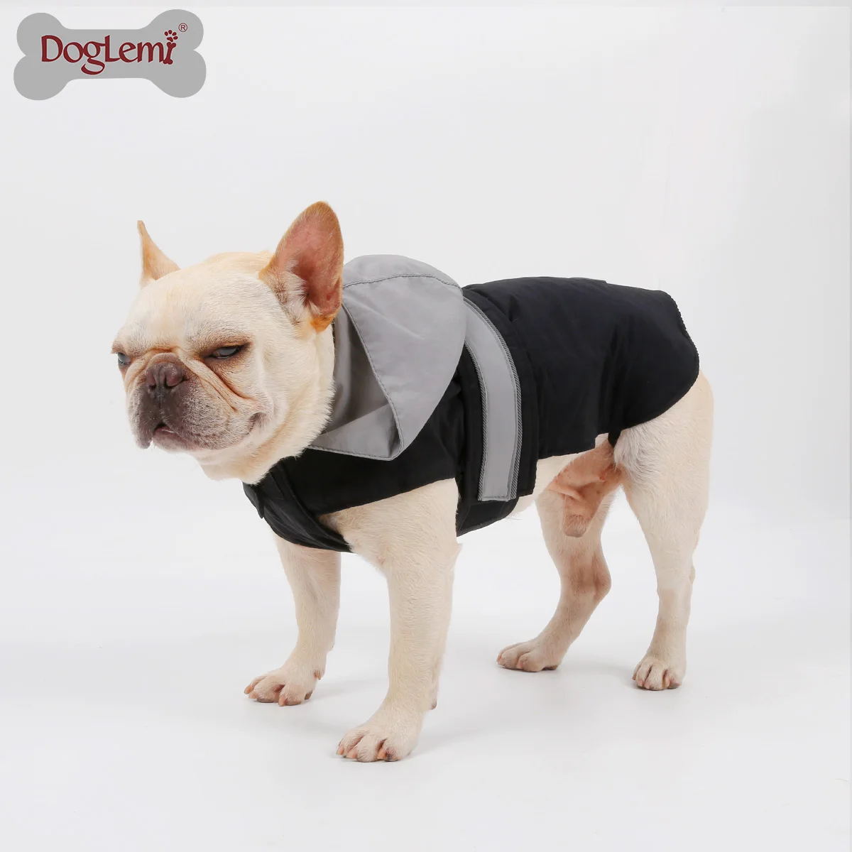 light up dog sweater