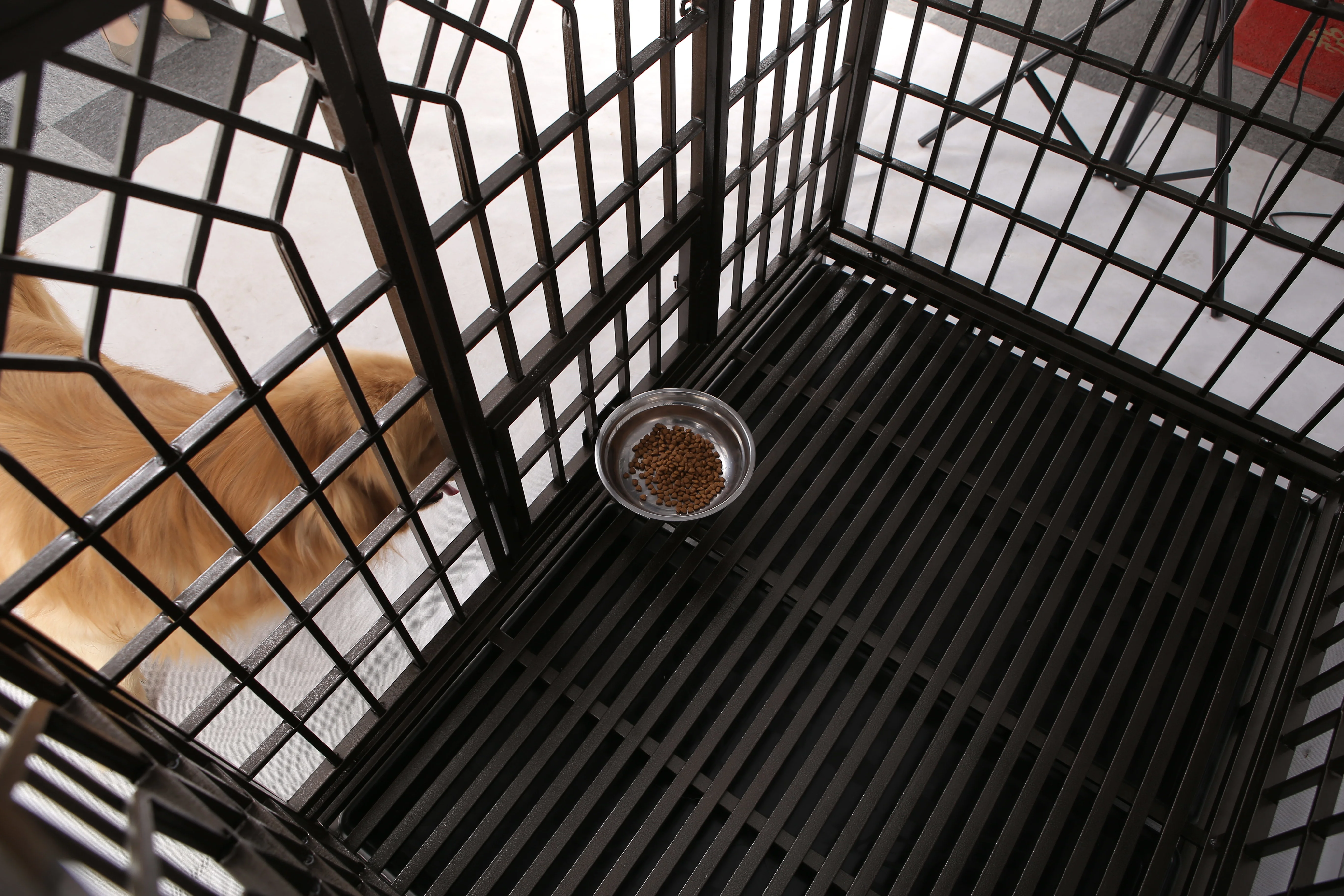 Dog Cage Dog Cagepet Cage Dog Buy Cage Dog Kennel,Dog