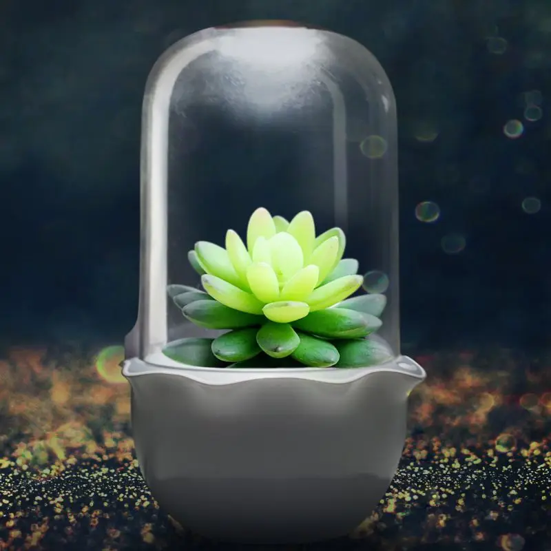 

Innovation mini Indoor Smart Garden Succulent plant pots