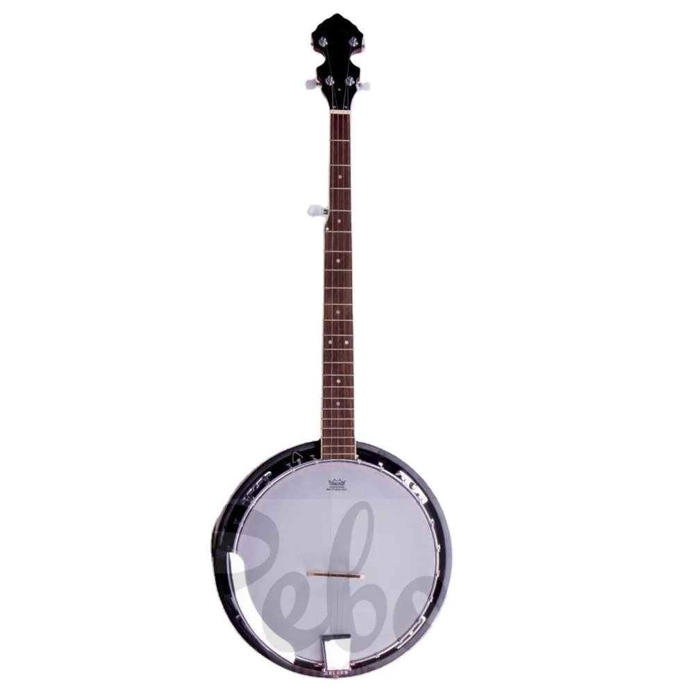 

Weifang Rebon 5 string banjo