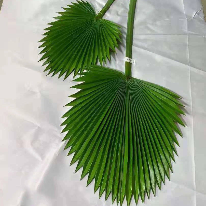 

Artificial Palm Leaves for Party Table Decoration Wedding Birthday Theme Party, Green color