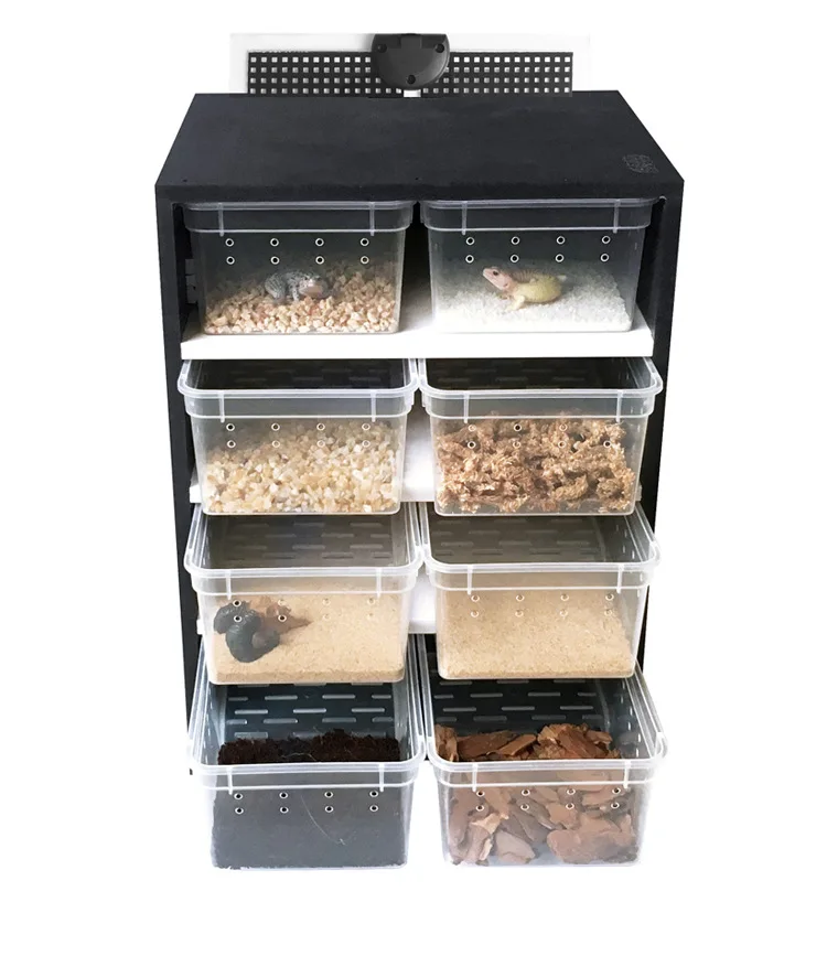 

Snake Lizard Spider Terrarium Lizard Spider Gecko Tortoise Hamster Reptiles Cabinet Cages