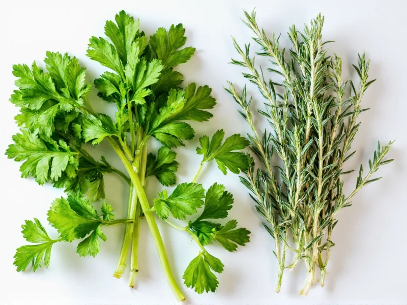 Parsley Rosemary and Thyme: Culinary Uses and Benefits