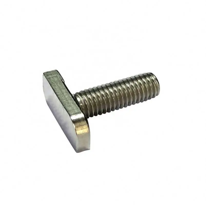 
Stainless Steel 304 316 T head Bolts 