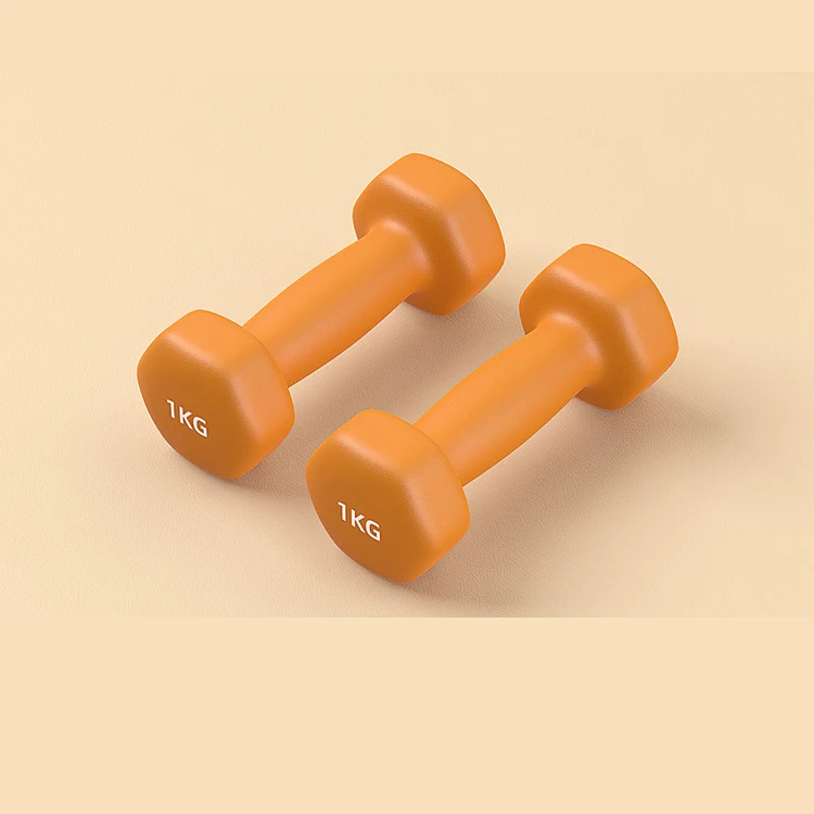 Dumbbell Neoprene Dumbbell Home Gym Equipment Weight Lifting Pvc Hex Dumbbells for Women