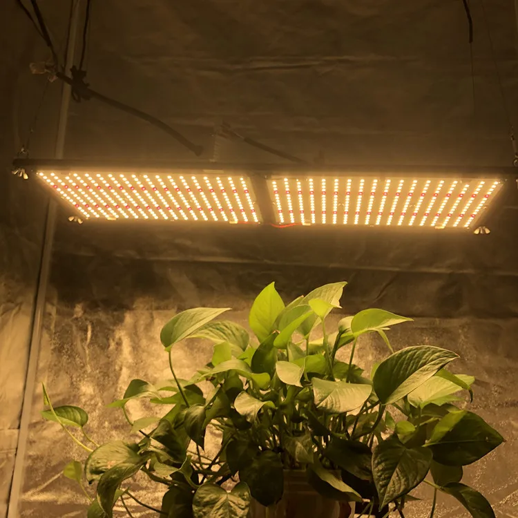 2020 全光谱水培 240w 量子板 led 植物生长灯与调光器室内蔬菜花卉