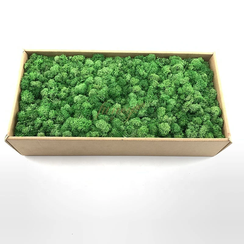 

2019 Hot Factory Wholesale Luxury Office Decoration Green Real Natural Art Frame Panel Stabilize Reindeer Wall moss stabilized, More than 20 colors
