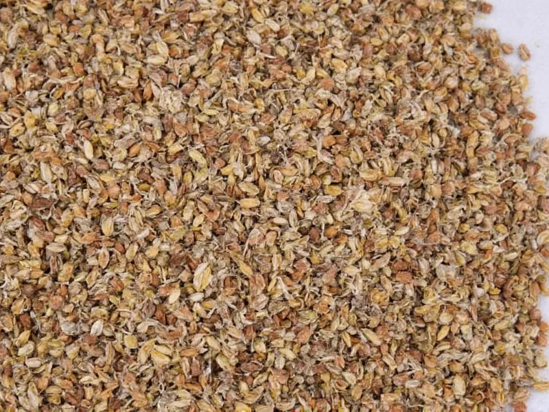 Best Caraway Replacements for Cooking & Baking