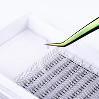 

Wholesale 3d 4d 5d 6d premade volume fans eyelash extensions