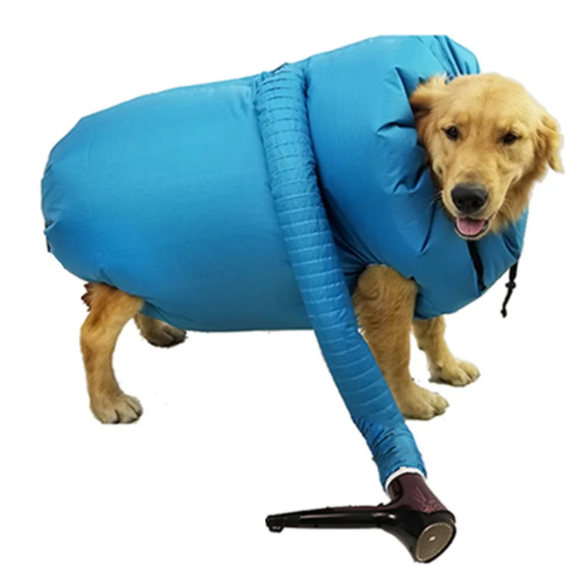 

Hot Selling Products 2020 Interactive Pet dog dryer Eco Friendly 2021 Amason Top Product, Blue
