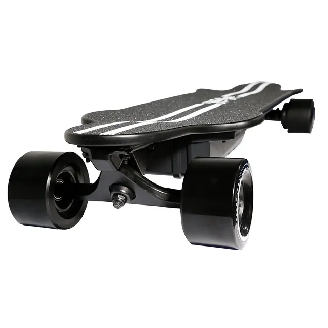 

TeamGee H20 electric skateboard crazy speed 45KMS/H and long mileage and strong riding 4 wheel electric skateboard