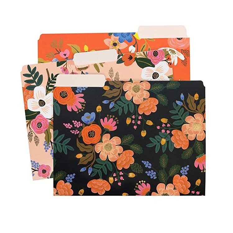 
Custom Large Decorative Paper Commercial Hanging Organizer Suspension File Folders 