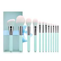 

NEW12pcs High Quality professional light blue gift bag beautiful Private label makeup brush set