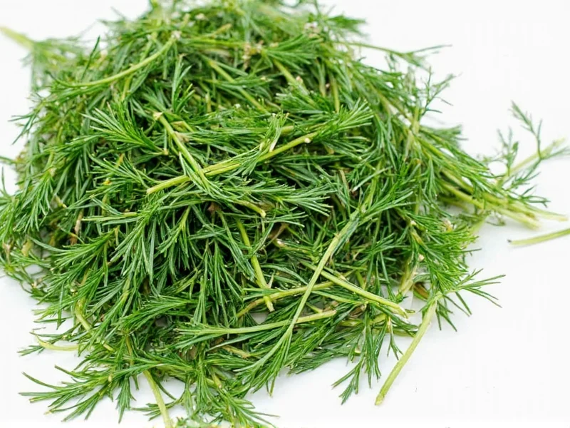 Fresh Dill to Dried Conversion: Exact Measurements