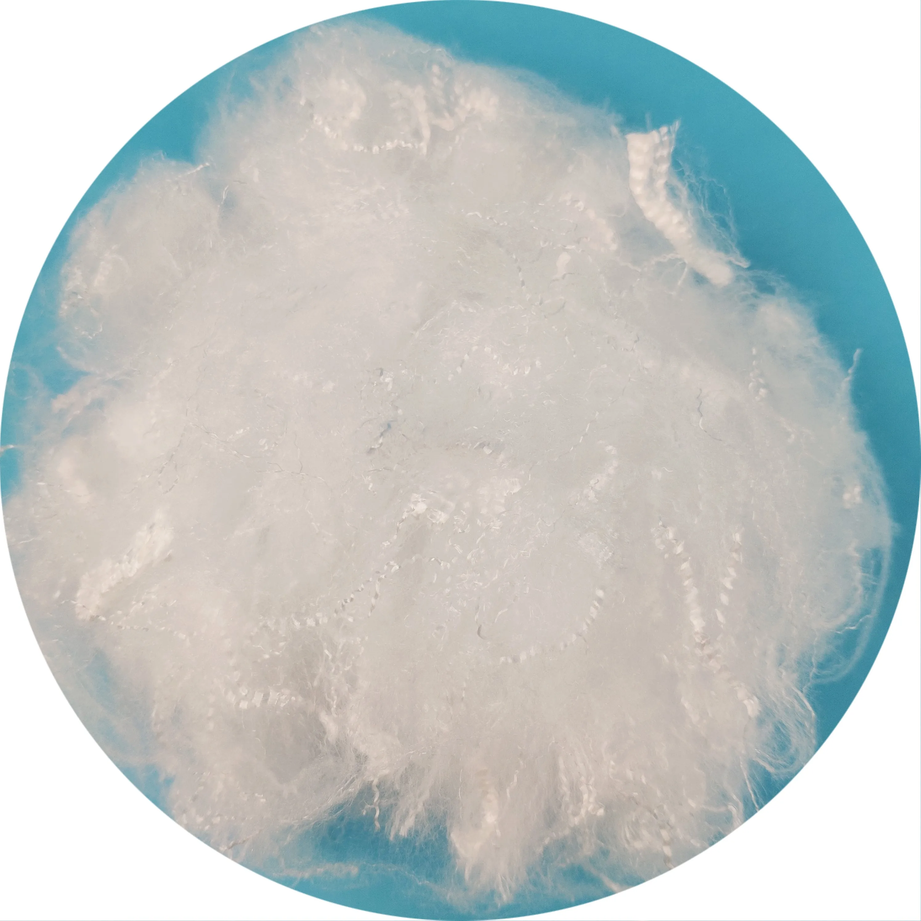 5dx51mm 聚乳酸纤维白色双组分 pla 纤维