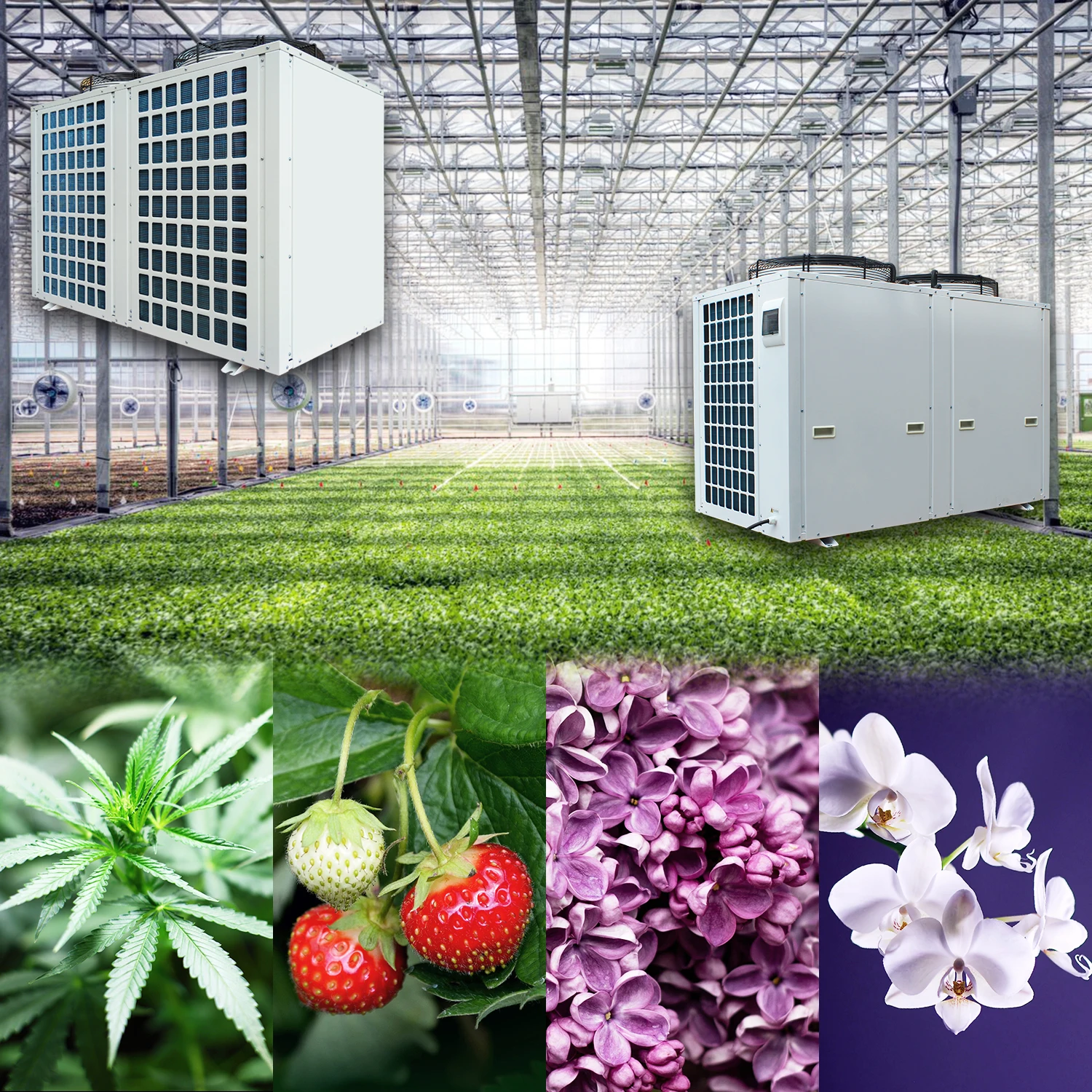 
No Moq industrial ethanol chiller unit price 