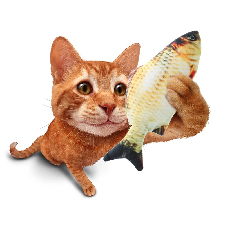 plush fish cat toy