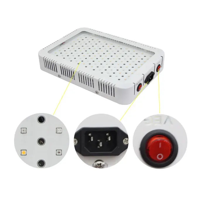 
Hot Selling Indoor Full Spectrum COB SMD 1000W LED Grow Light for Greenhouse Plants 