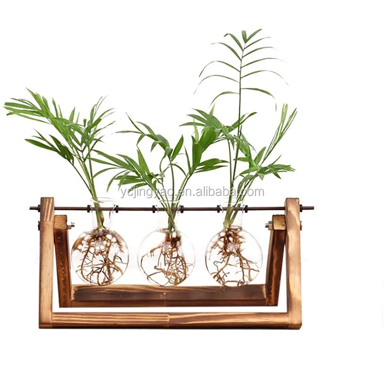 

Desktop Glass Planter Bulb Vase with Retro Solid Wooden Stand and Metal Swivel Holder for Hydroponics Plants Garden Wedding Deco, Clear