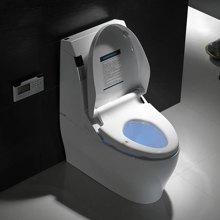 Automatic Bidet Toilet/ Ceramic Japanese Wc With Spray Kd-t002a - Buy