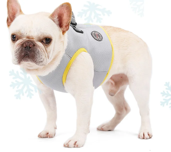 

Summer Cool Thin Dog Collar Temperature Lowered Pet Neck Collar Convenient Metal D Buckle Dog Necklace, Gray