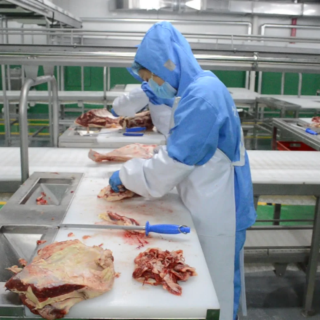 Customized halal mutton slaughtering process sheep slaughterhouse