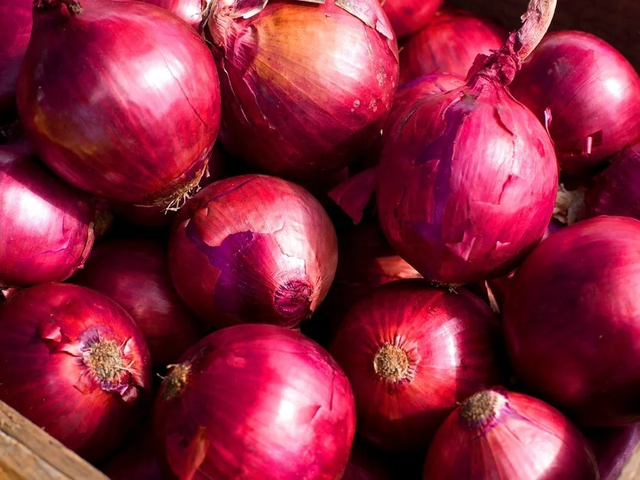 new crop fresh red onion - buy fresh red onion,red onions