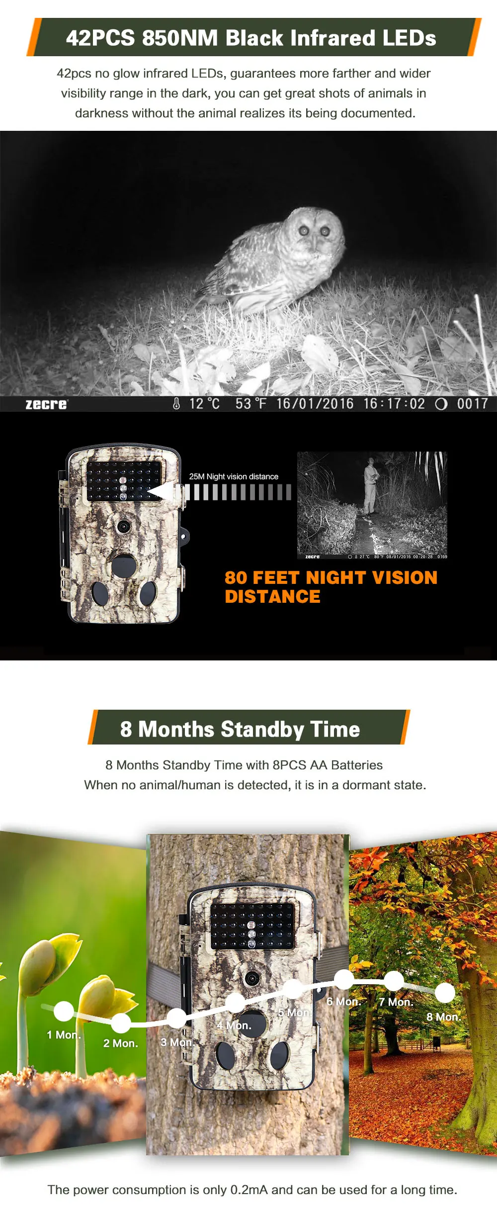 730 hunting trail cam_09.jpg