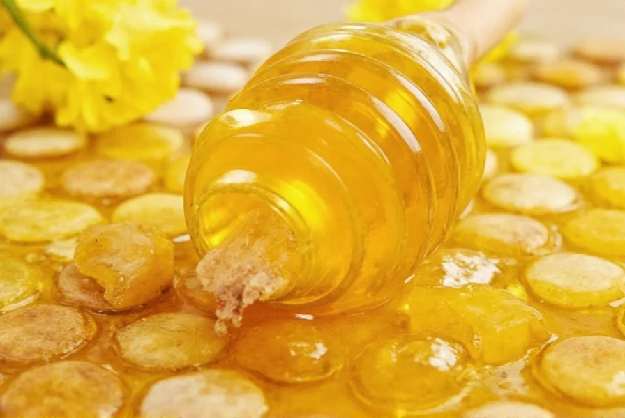 What Is Clover Honey: Definition and Key Characteristics