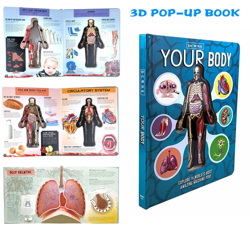 Anatomy Of The Human Body In English Popular Science Book 3d Picture